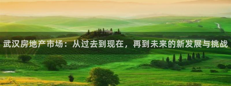 新宝5首页：武汉房地产市场：从过去到现在，再到未来的新发展与