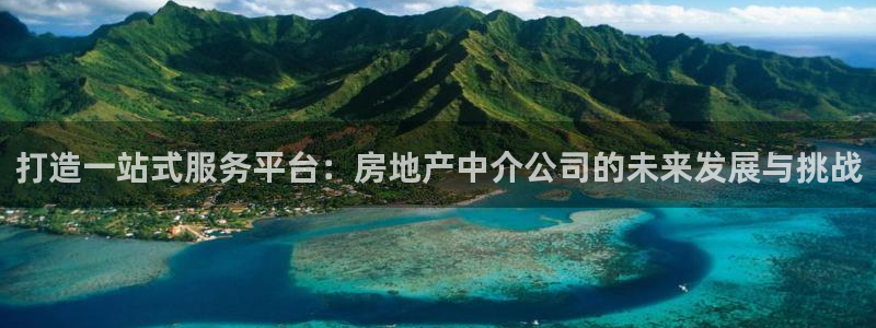新宝5X：打造一站式服务平台：房地产中介公司的未来发展与挑战