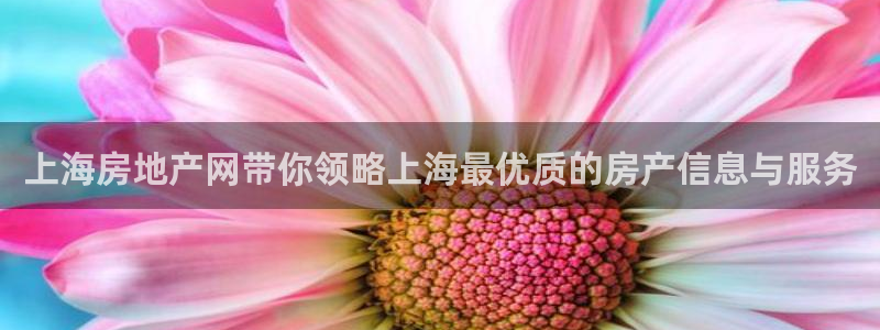 新宝5官网霸：上海房地产网带你领略上海最优质的房产信息与服务