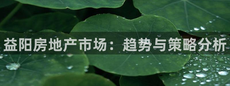 新宝5首页：益阳房地产市场：趋势与策略分析