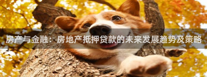 新宝5日谢29999：房产与金融：房地产抵押贷款的未来发展趋