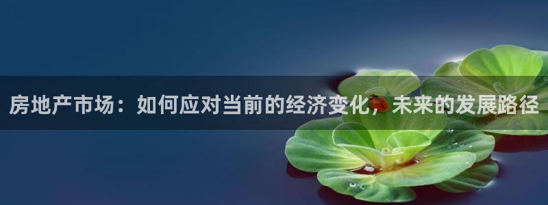 新宝5娱乐注：房地产市场：如何应对当前的经济变化，未来的发展