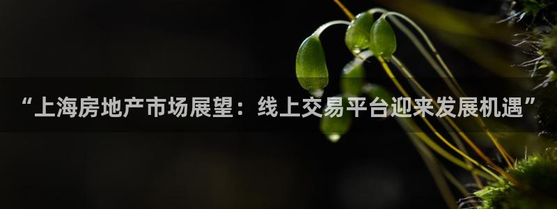 新宝5登陆地址：“上海房地产市场展望：线上交易平台迎来发展机