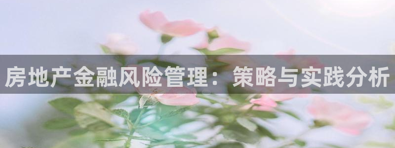 新宝5口67五壹叁八：房地产金融风险管理：策略与实践分析