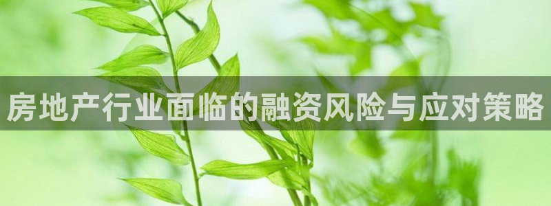 新宝5平台登录：房地产行业面临的融资风险与应对策略