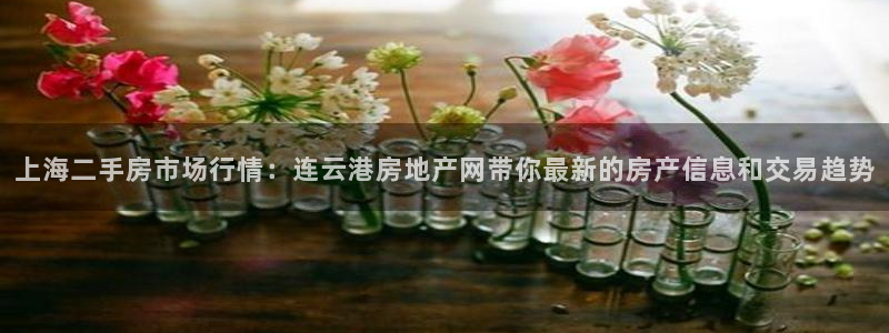 新宝5平台登录注册：上海二手房市场行情：连云港房地产网带你最