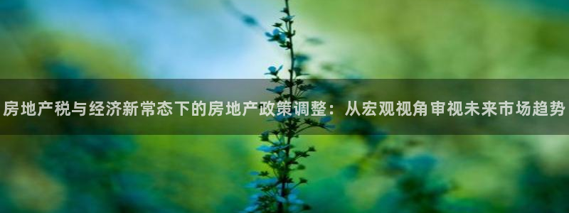 新宝5 注册：房地产税与经济新常态下的房地产政策调整：从宏观