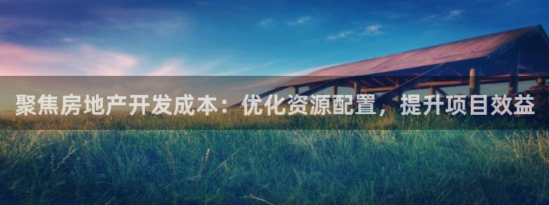 新宝5 测速：聚焦房地产开发成本：优化资源配置，提升项目效益