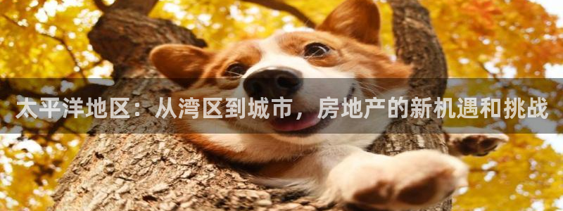 新宝5日谢29999：太平洋地区：从湾区到城市，房地产的新机
