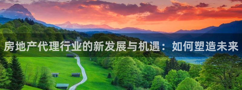 新宝娱乐5入口：房地产代理行业的新发展与机遇：如何塑造未来