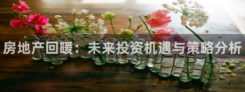 新宝5策略：房地产回暖：未来投资机遇与策略分析