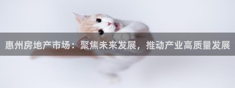 新宝5平台咋样：惠州房地产市场：聚焦未来发展，推动产业高质量
