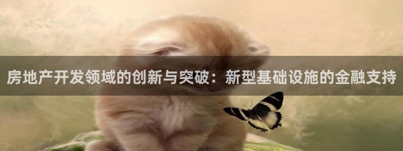 新宝5分彩：房地产开发领域的创新与突破：新型基础设施的金融支