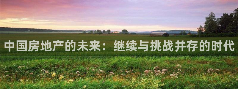 新宝5注册首页：中国房地产的未来：继续与挑战并存的时代