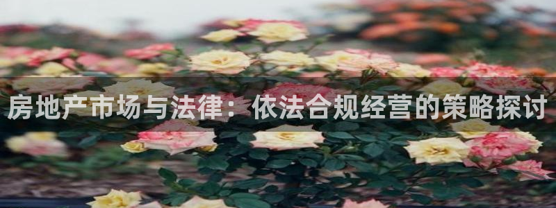 新宝5平台登录：房地产市场与法律：依法合规经营的策略探讨