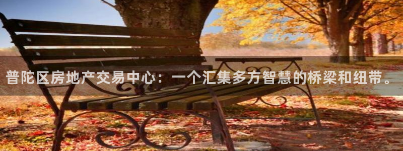 新宝5登录界面：普陀区房地产交易中心：一个汇集多方智慧的桥梁