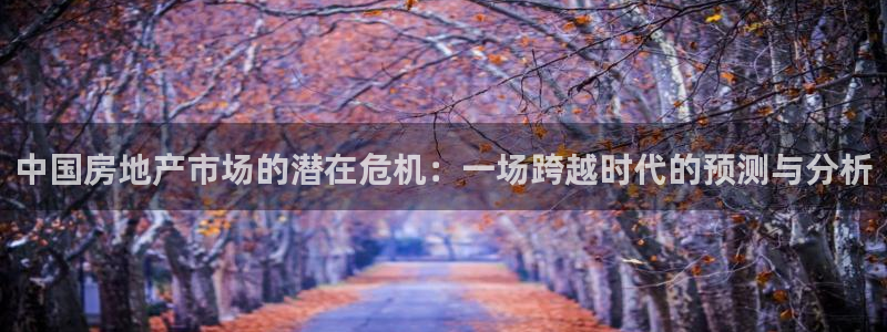 新宝xb5：中国房地产市场的潜在危机：一场跨越时代的预测与分