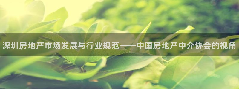 新宝5下载测试：深圳房地产市场发展与行业规范——中国房地产中