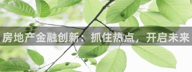 新宝堂新会陈皮5年：房地产金融创新：抓住热点，开启未来