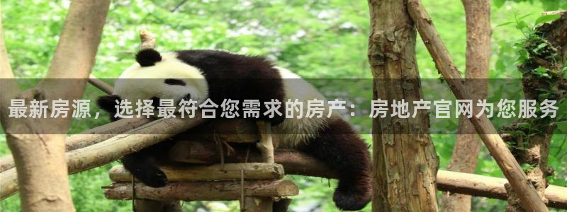 新宝5手机平台登陆：最新房源，选择最符合您需求的房产：房地产