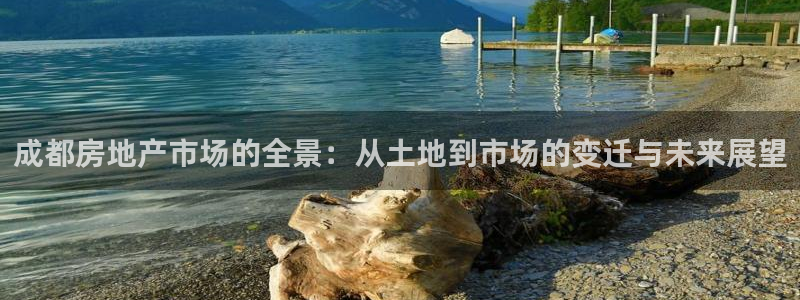 新宝5策略：成都房地产市场的全景：从土地到市场的变迁与未来展