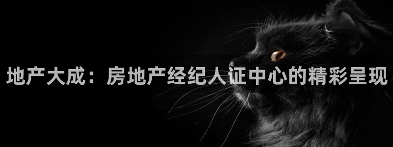 新5宝：地产大成：房地产经纪人证中心的精彩呈现