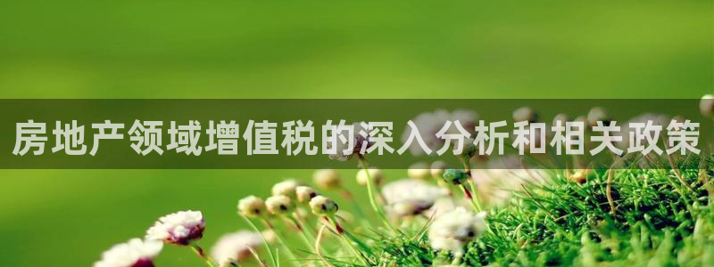 新宝5褚32OO59：房地产领域增值税的深入分析和相关政策