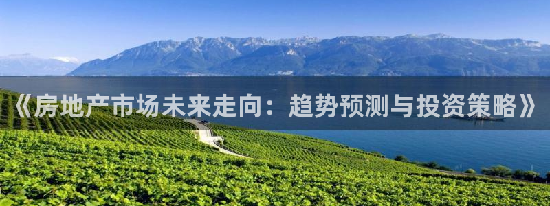 新宝5手机登录：《房地产市场未来走向：趋势预测与投资策略》