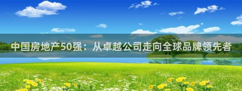 新宝股东瞧听2 5 5：中国房地产50强：从卓越公司走向全球