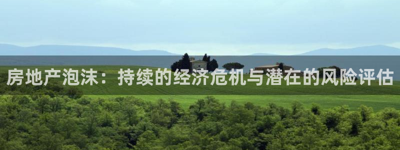新宝5链接：房地产泡沫：持续的经济危机与潜在的风险评估