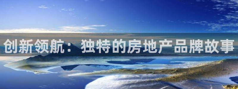 新宝5是什么：创新领航：独特的房地产品牌故事