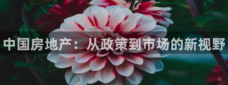 新宝5手机app：中国房地产：从政策到市场的新视野