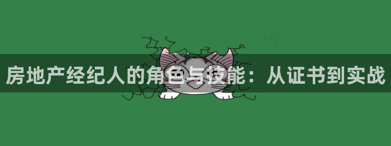 新宝5手机下载：房地产经纪人的角色与技能：从证书到实战