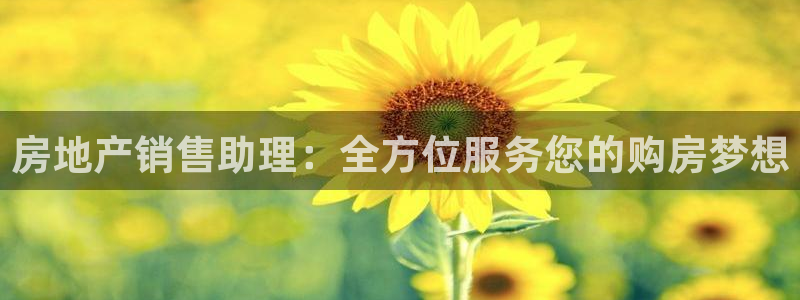 新宝5测速：房地产销售助理：全方位服务您的购房梦想