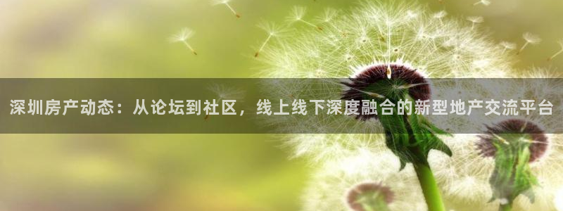 新宝5月：深圳房产动态：从论坛到社区，线上线下深度融合的新型