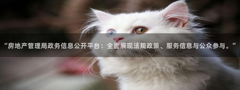 新宝5手机app：“房地产管理局政务信息公开平台：全面展现法