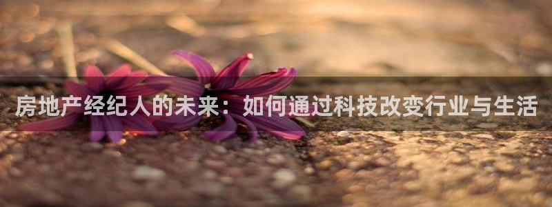 新宝5在哪里：房地产经纪人的未来：如何通过科技改变行业与生活