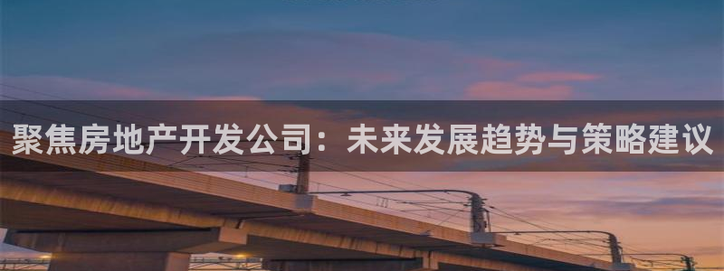 新宝5飞355051：聚焦房地产开发公司：未来发展趋势与策略