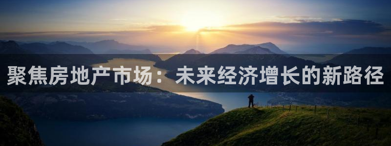 新宝5测速登陆：聚焦房地产市场：未来经济增长的新路径