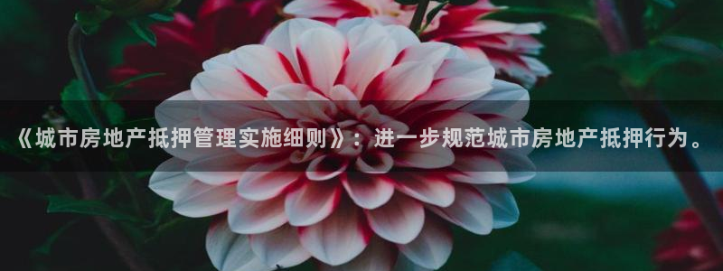 新宝5X：《城市房地产抵押管理实施细则》：进一步规范城市房地