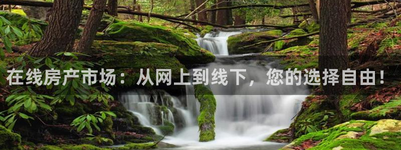 新宝5苹果手机下载：在线房产市场：从网上到线下，您的选择自由