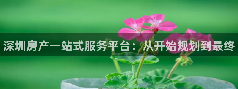 新宝5官网霸：深圳房产一站式服务平台：从开始规划到最终