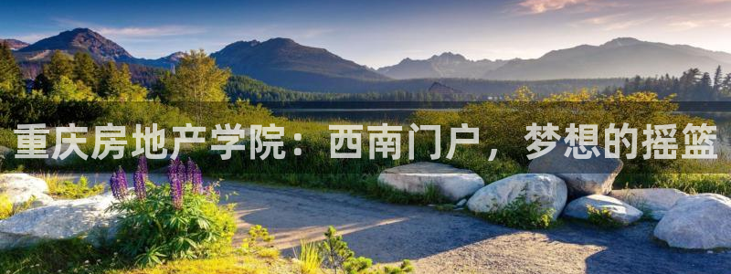 新宝5网站：重庆房地产学院：西南门户，梦想的摇篮