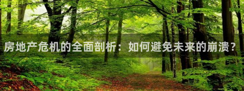新宝5娱乐平台：房地产危机的全面剖析：如何避免未来的崩溃？