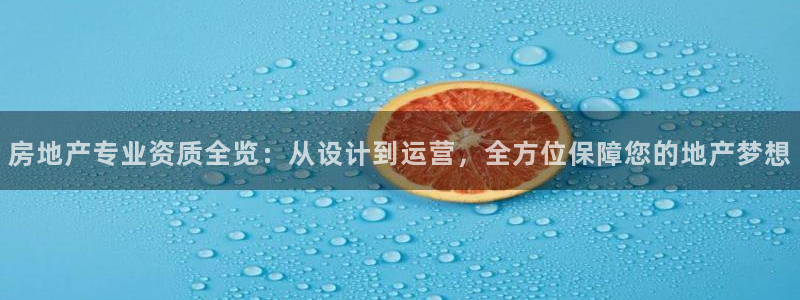 新5宝：房地产专业资质全览：从设计到运营，全方位保障您的地产