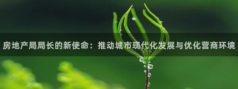 p5r新宝魔：房地产局局长的新使命：推动城市现代化发展与优化