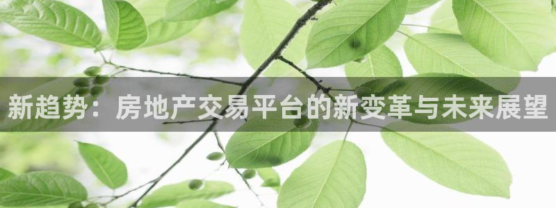 新宝5注册流程：新趋势：房地产交易平台的新变革与未来展望