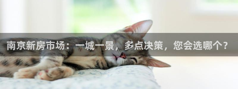 新宝5下载：南京新房市场：一城一景，多点决策，您会选哪个？