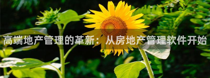 新宝5后：高端地产管理的革新：从房地产管理软件开始