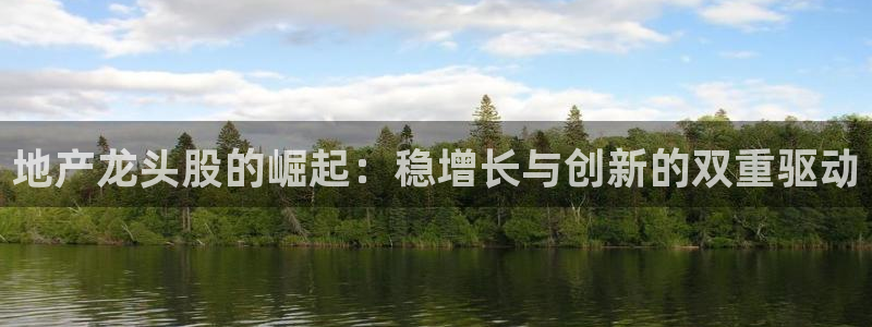 新宝5 - 测速登陆：地产龙头股的崛起：稳增长与创新的双重驱